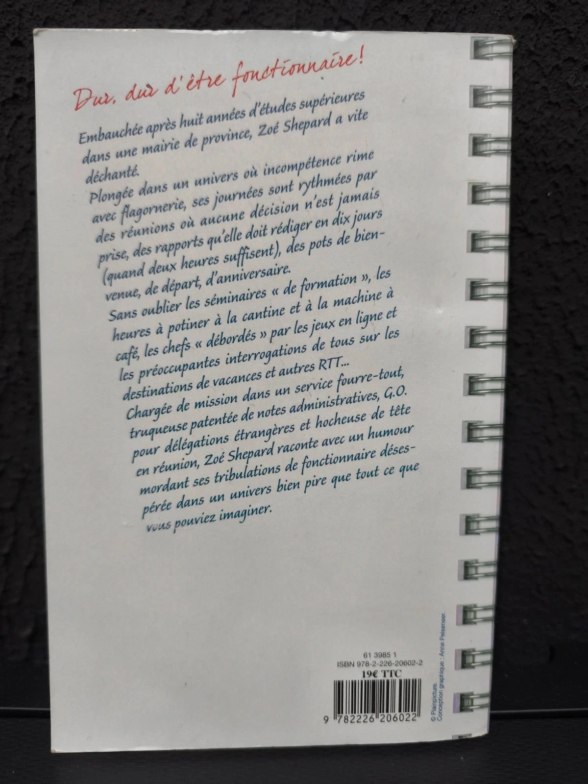 Absolument débordée – photo 2